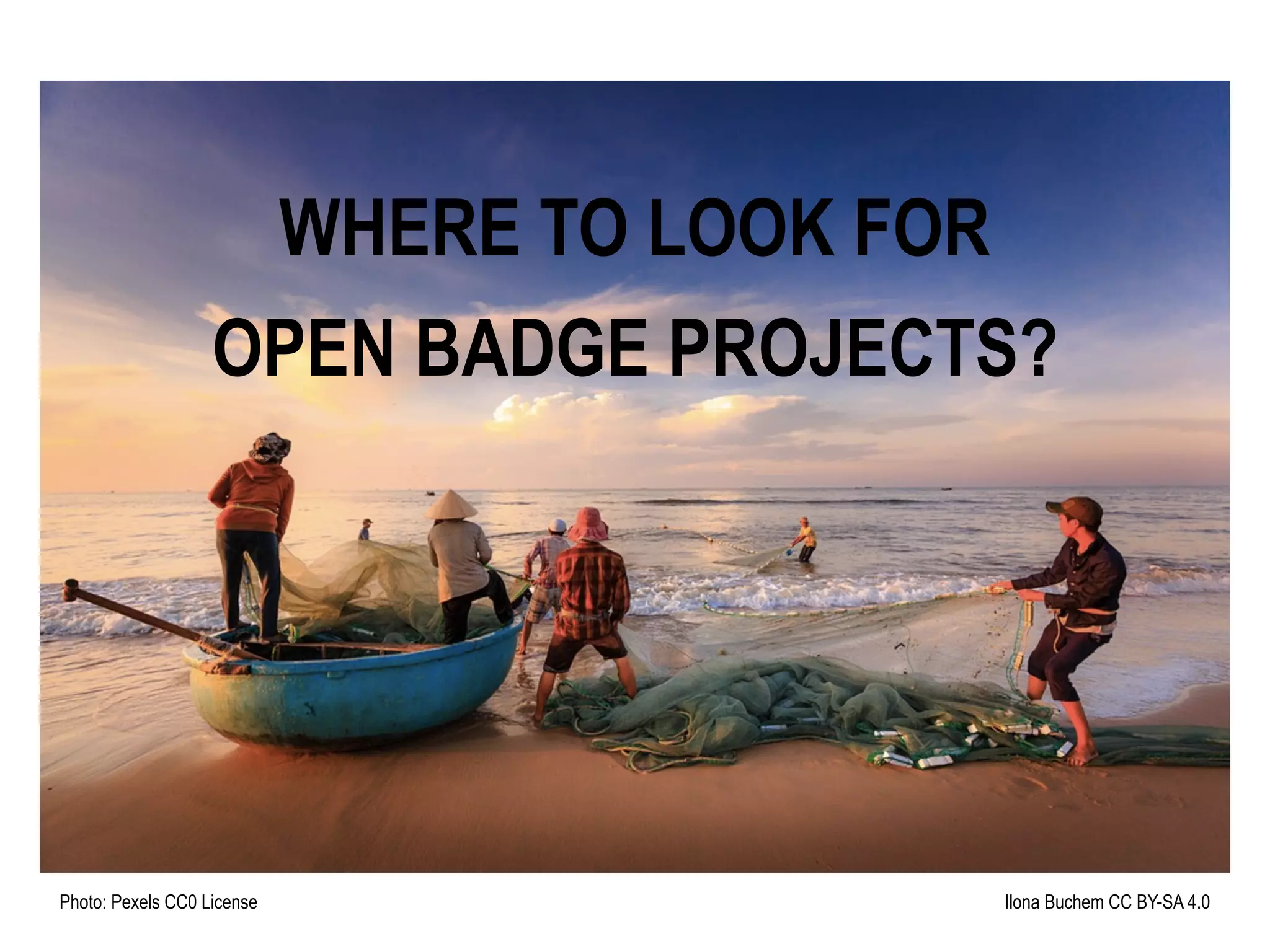 WHERE TO LOOK FOR
OPEN BADGE PROJECTS?
Photo: Pexels CC0 License Ilona Buchem CC BY-SA 4.0
 