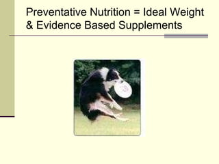 Preventative Nutrition = Ideal Weight & Evidence Based Supplements 