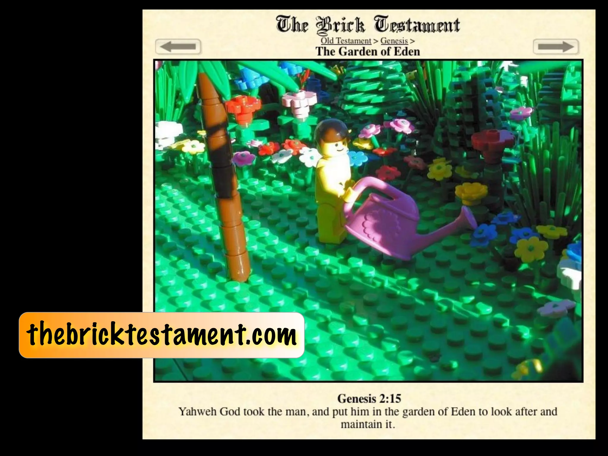 thebricktestament.com
 
