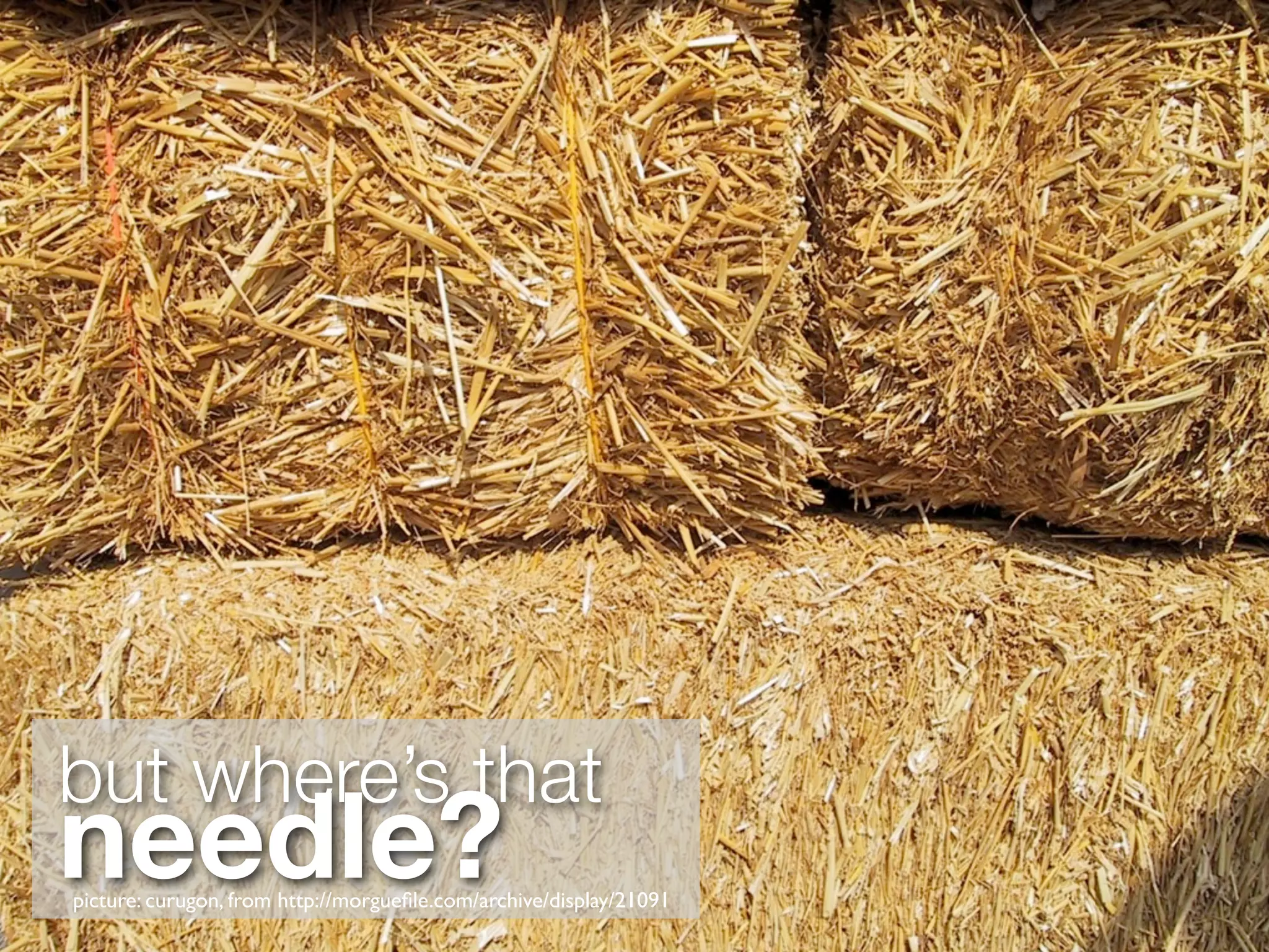 but where’s that
needle?
picture: curugon, from http://morgueﬁle.com/archive/display/21091
 