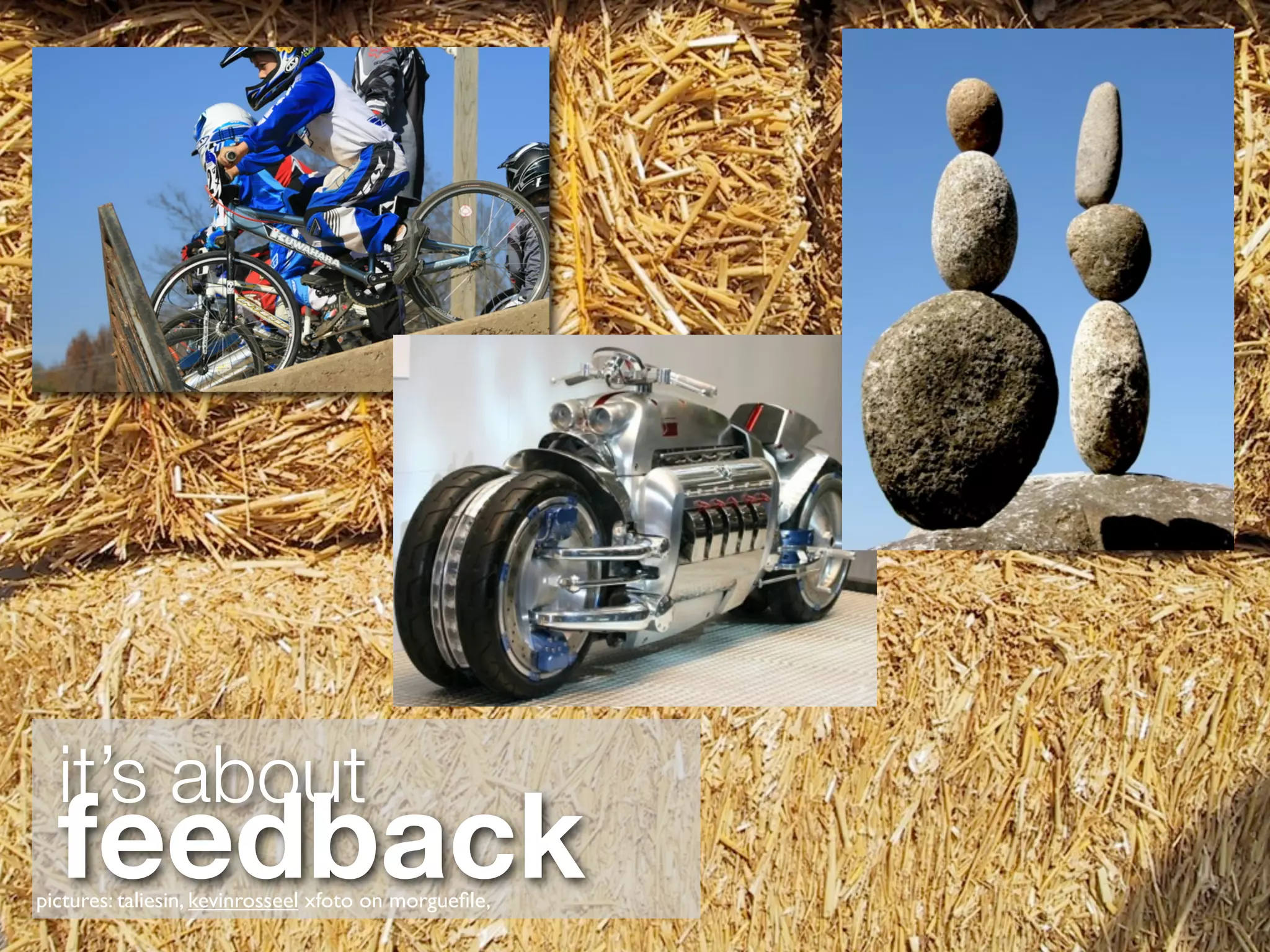 it’s about
  feedback
pictures: taliesin, kevinrosseel xfoto on morgueﬁle,
 