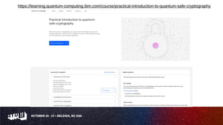 Surveying the Open Quantum Landscape: Open source tools for quantum ...