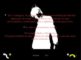 Ter a vantagem  de permitir ao cliente a personalização total das aplicações de modo a ajusterem-se na perfeição às suas nessecidades, contribuindo para a optimização dos processos; As suas caracteristicas serem: A simplicidade e eficiencia; A potencialidade de uma solução de alta qualidade com um custo muito reduzido. 