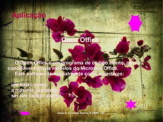 Aplicação  Open Office  O Open Office é um programa de código aberto, pois é conciliável com os modelos do Microsoft Office.  Este software tem igualmente como objectivos:  um baixo custo;  a máxima qualidade;  ser um código aberto.  