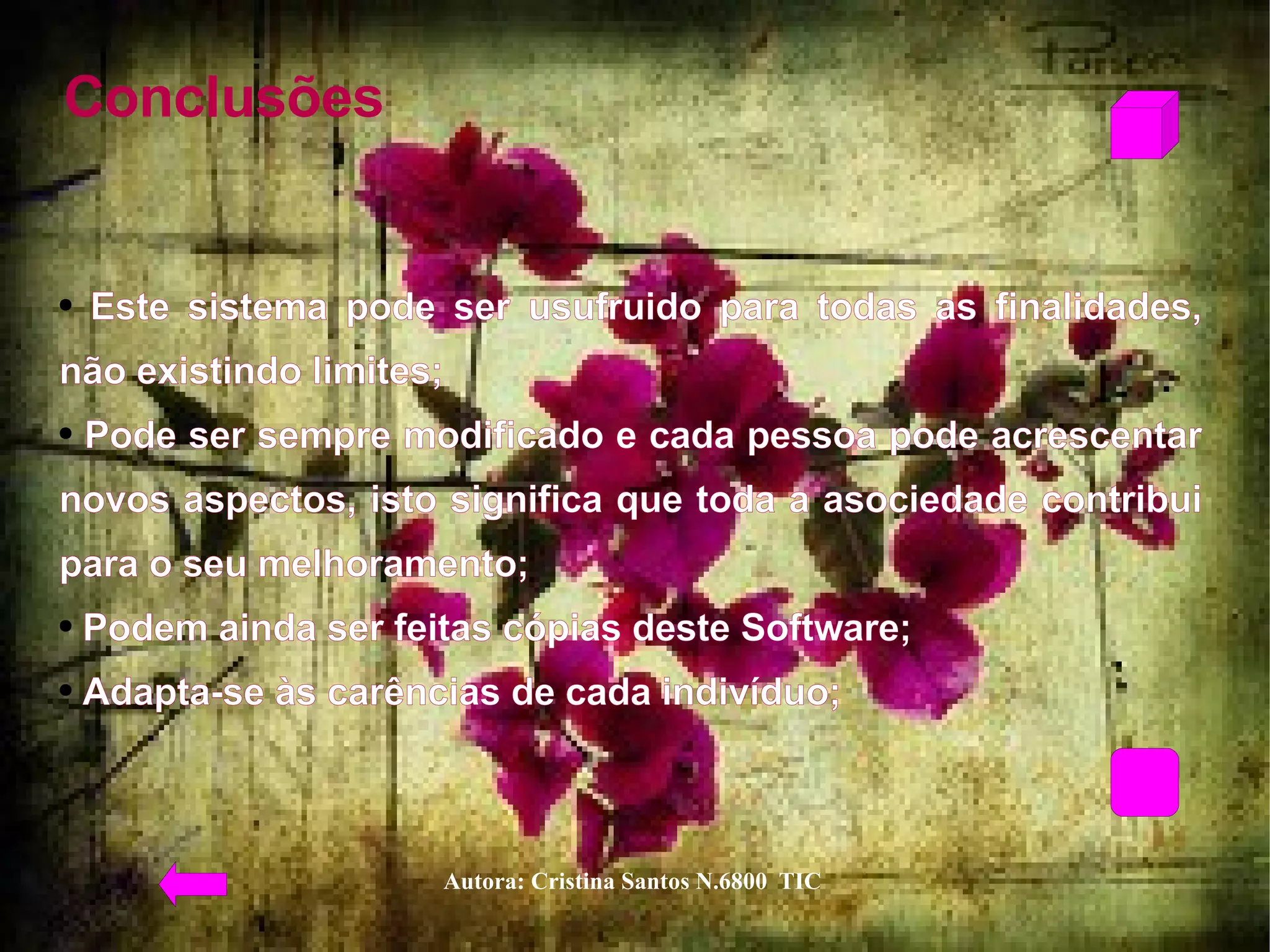 Conclusões  Este sistema pode ser usufruido para todas as finalidades, não existindo limites;  Pode ser sempre modificado e cada pessoa pode acrescentar novos aspectos, isto significa que toda a asociedade contribui para o seu melhoramento;  Podem ainda ser feitas cópias deste Software;  Adapta-se às carências de cada indivíduo;  