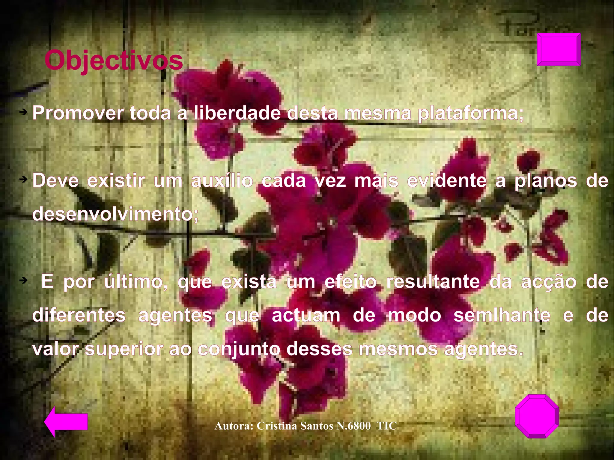 Objectivos Promover toda a liberdade desta mesma plataforma;  Deve existir um auxílio cada vez mais evidente a planos de desenvolvimento;  E por último, que exista um efeito resultante da acção de diferentes agentes que actuam de modo semlhante e de valor superior ao conjunto desses mesmos agentes.  