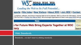 Standards…we don’t need no stinking standards. Web Standards 