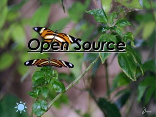 Open Source 