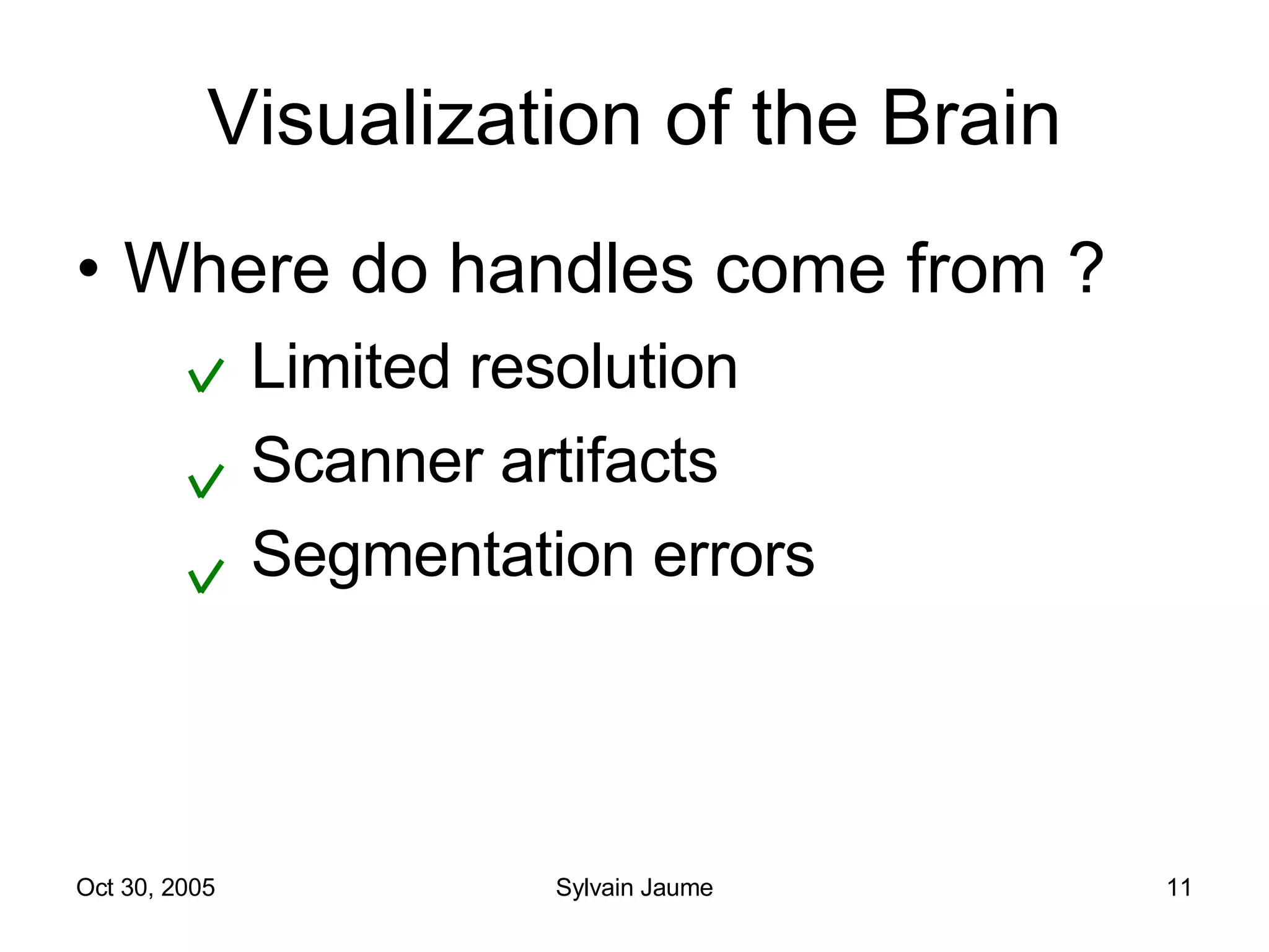 Visualization of the Brain Where do handles come from ? Limited resolution Scanner artifacts Segmentation errors 