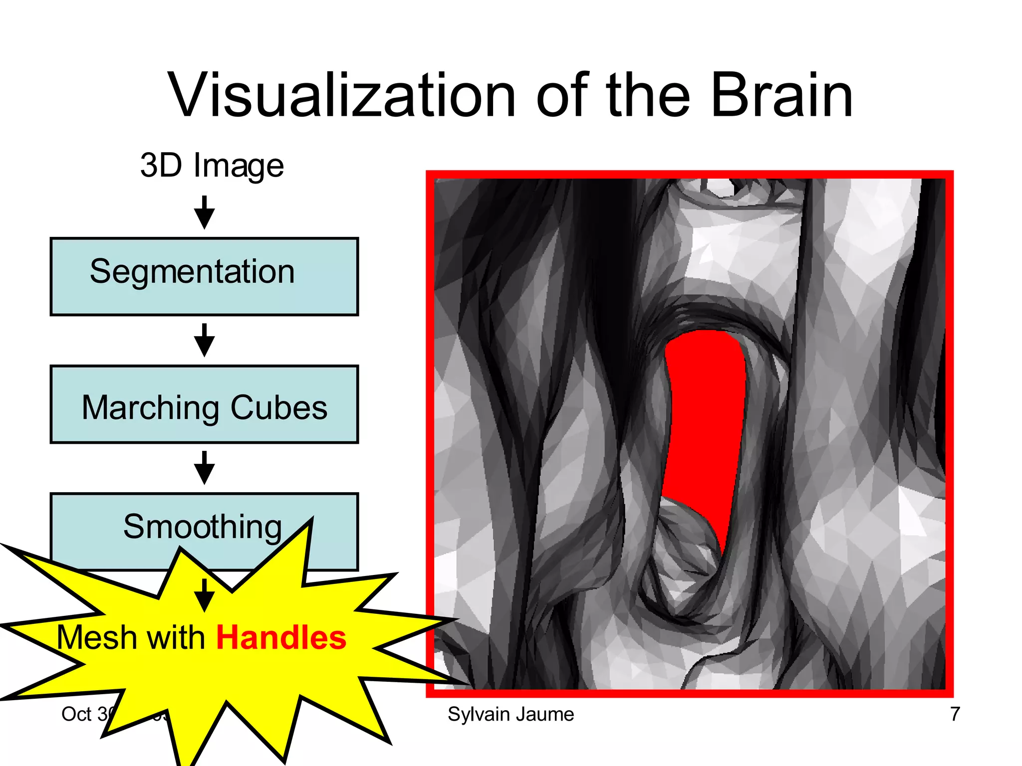 Visualization of the Brain 3D Image Segmentation Marching Cubes Smoothing Mesh with  Handles 