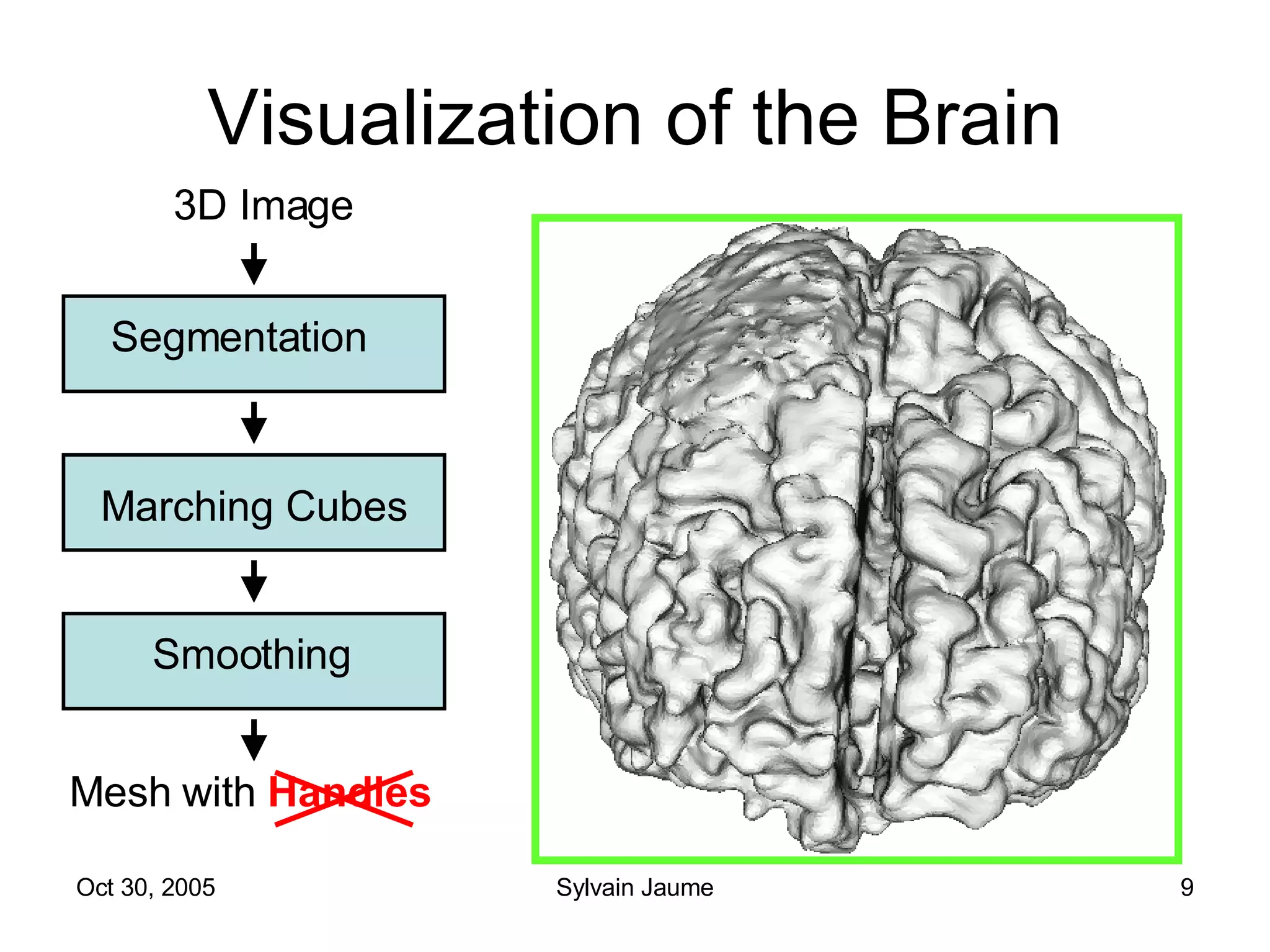 Visualization of the Brain 3D Image Segmentation Marching Cubes Smoothing Mesh with  Handles 