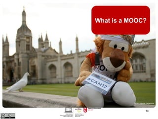 What is a MOOC? 
CC-BY Hester Jelgerhuis 
14 
 
