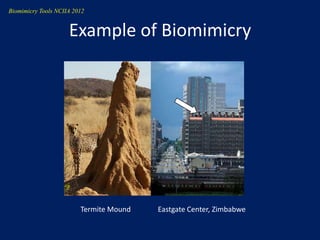 Biomimicry Tools NCIIA 2012


                     Example of Biomimicry




                         Termite Mound   Eastgate Center, Zimbabwe
 