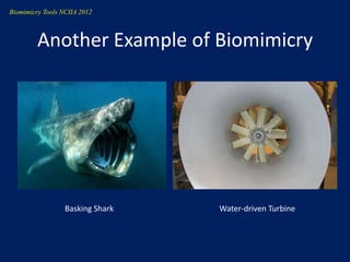 Biomimicry Tools NCIIA 2012



         Another Example of Biomimicry




                  Basking Shark   Water-driven Turbine
 