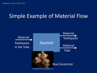 Biomimicry Tools NCIIA 2012




       Simple Example of Material Flow

                                                                   Material
                  Material                                         Toothpaste
              Toothpaste                Squeeze
              In the Tube                                          Material
                                                                   Tube



                                                            Boa Constrictor
                              asociacionecoanimal.blogspot.com
 