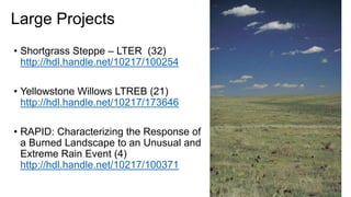 Large Projects
• Shortgrass Steppe – LTER (32)
http://hdl.handle.net/10217/100254
• Yellowstone Willows LTREB (21)
http://hdl.handle.net/10217/173646
• RAPID: Characterizing the Response of
a Burned Landscape to an Unusual and
Extreme Rain Event (4)
http://hdl.handle.net/10217/100371
 