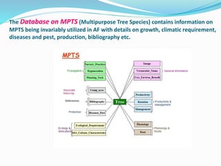 The Database on MPTS (Multipurpose Tree Species) contains information on 
MPTS being invariably utilized in AF with details on growth, climatic requirement, 
diseases and pest, production, bibliography etc. 
 