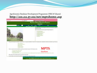Agroforestry Database Development Programme (NRCAF-Jhansi) 
http://210.212.57.102/net/mptshome.asp 
MPTS-database 
 