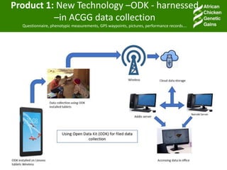 Accessible and open data on chicken performance supports investment decisions in sub-Saharan Africa