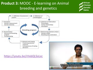 Accessible and open data on chicken performance supports investment decisions in sub-Saharan Africa
