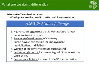 Accessible and open data on chicken performance supports investment decisions in sub-Saharan Africa
