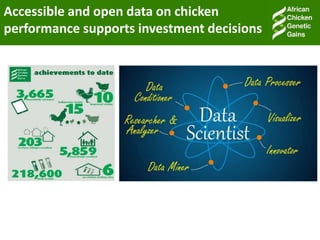 Accessible and open data on chicken performance supports investment decisions in sub-Saharan Africa