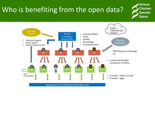 Accessible and open data on chicken performance supports investment decisions in sub-Saharan Africa