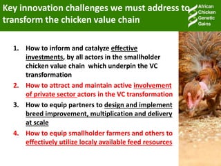 Accessible and open data on chicken performance supports investment decisions in sub-Saharan Africa