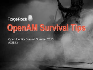 OpenAM Survival Tips
Open Identity Summit Summer 2013
#OIS13
 