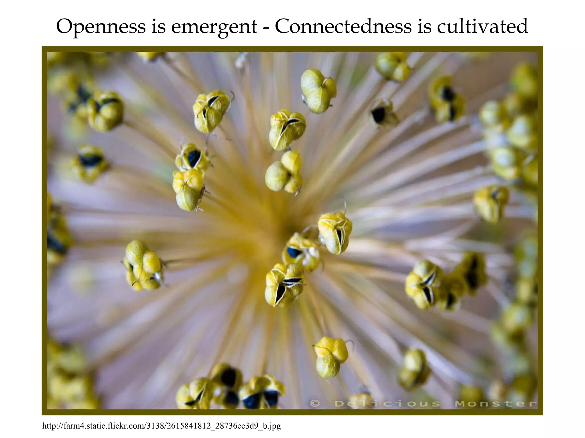 Openness is emergent - Connectedness is cultivated http://farm4.static.flickr.com/3138/2615841812_28736ec3d9_b.jpg 