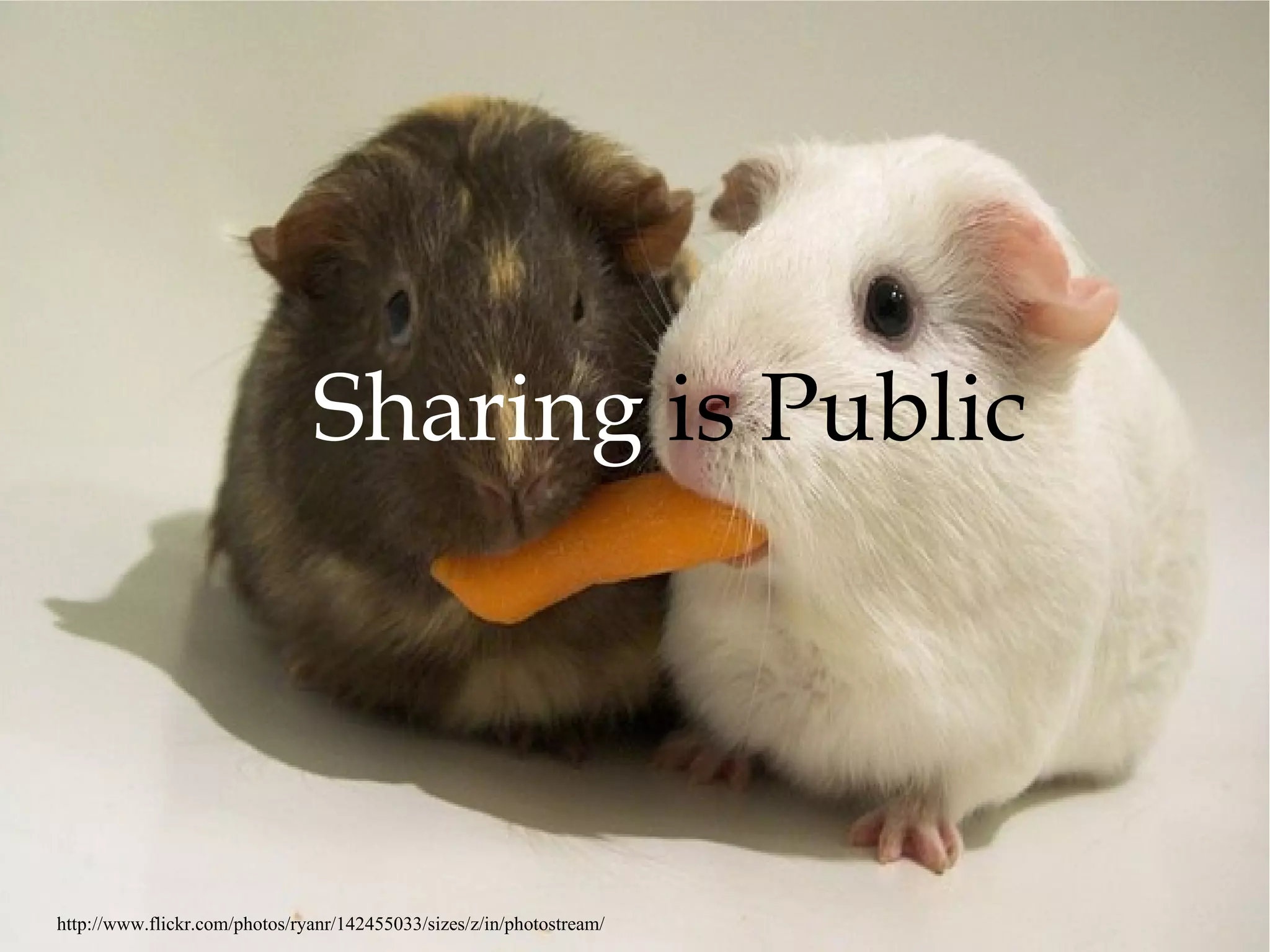 Sharing  is Public http://www.flickr.com/photos/ryanr/142455033/sizes/z/in/photostream/ 