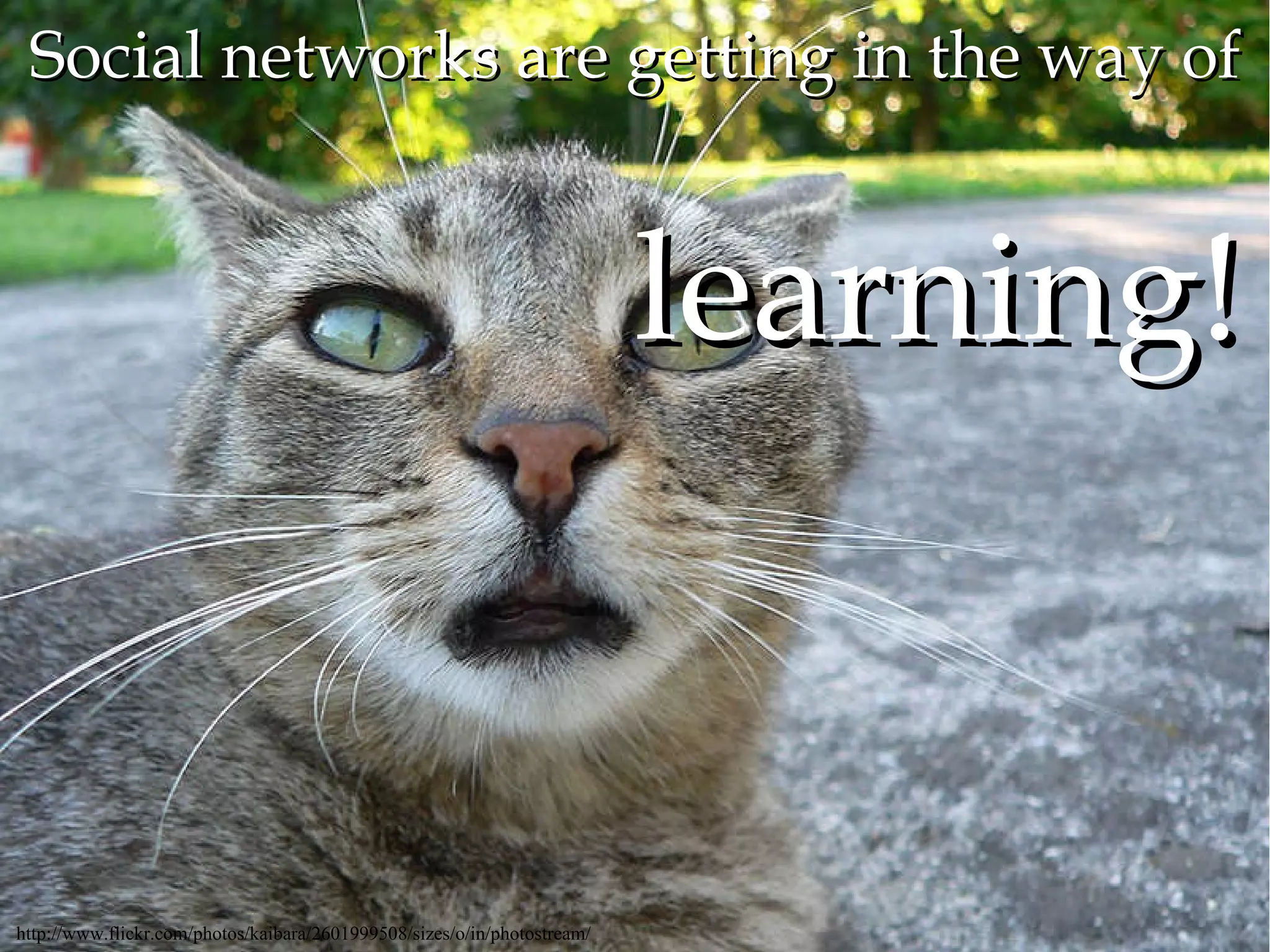 Social networks are getting in the way of learning! http://www.flickr.com/photos/kaibara/2601999508/sizes/o/in/photostream/ 