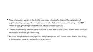 • Acute inflammatory reaction in the alveolar bone socket subsides after 5 days of the implantation of
lyophilized collagen sponge . Therefore, there was time for the hydration process and setting of the MTA
cement to occur, preventing its interference on periradicular healing process .
• However, due to its high alkalinity a risk of necrosis exists if there is direct contact with the apical tissues, for
instance after accidental apical overfilling.
• Therefore, the apical barrier with lyophilized collagen sponge and MTA cement allows the root canal filling
in single session, with safety and non-invasive procedures.
 