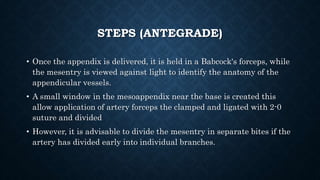 STEPS (ANTEGRADE)
• Once the appendix is delivered, it is held in a Babcock's forceps, while
the mesentry is viewed against light to identify the anatomy of the
appendicular vessels.
• A small window in the mesoappendix near the base is created this
allow application of artery forceps the clamped and ligated with 2-0
suture and divided
• However, it is advisable to divide the mesentry in separate bites if the
artery has divided early into individual branches.
 