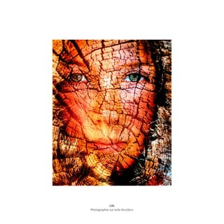Life
Photographie sur toile 85x100cm
 
