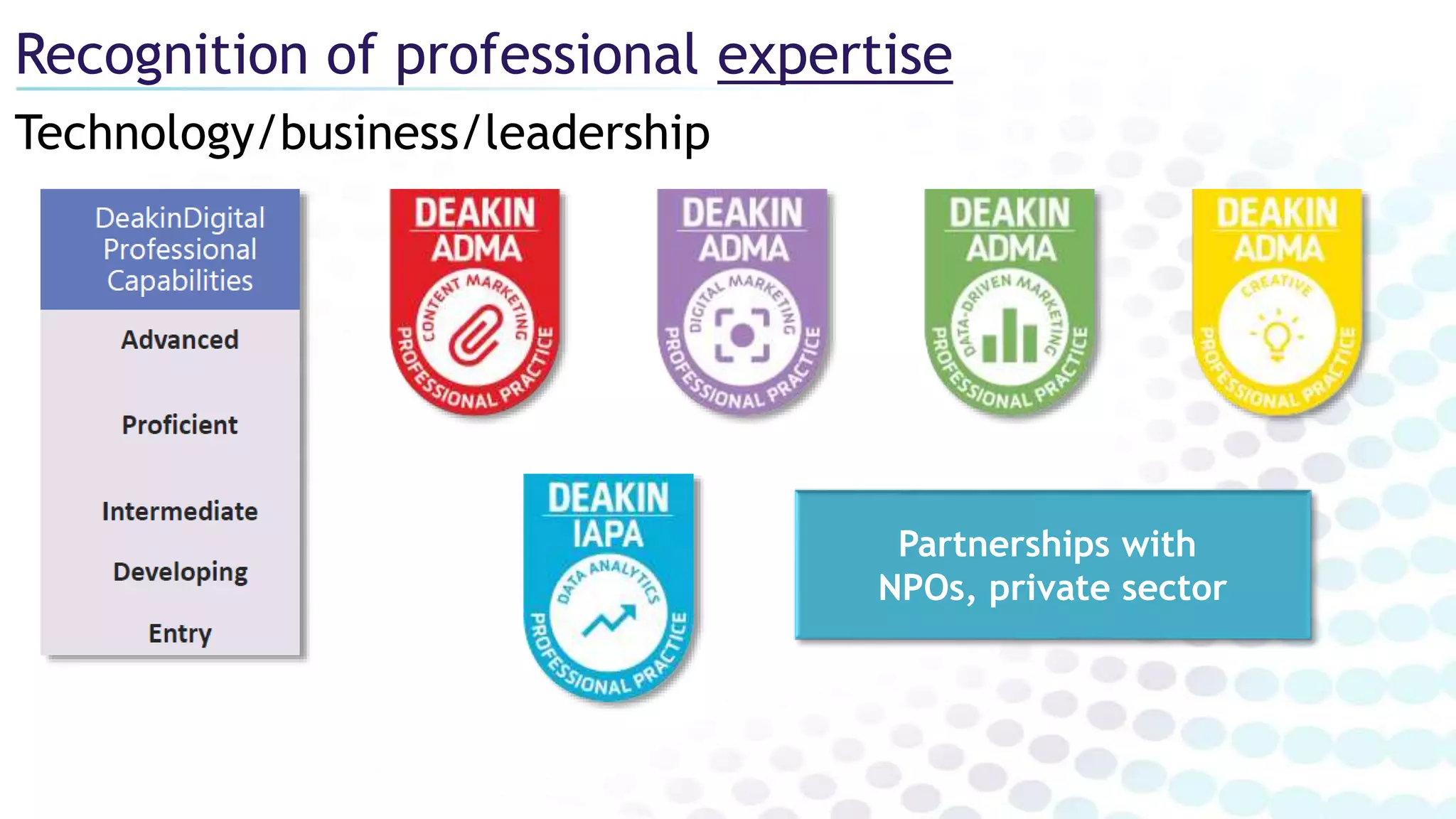 Technology/business/leadership
Recognition of professional expertise
Partnerships with
NPOs, private sector
 
