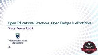Tracy Penny Light
Open Educational Practices, Open Badges & ePortfolios
3b
 