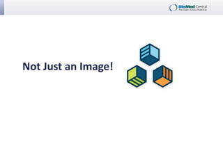 Not Just an Image!