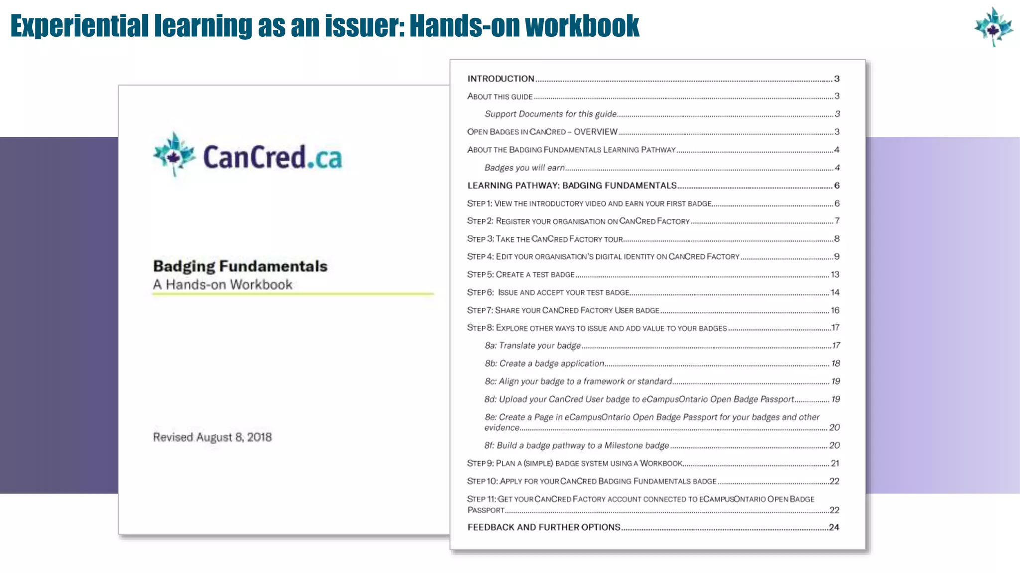 Experiential learning as an issuer: Hands-on workbook
 