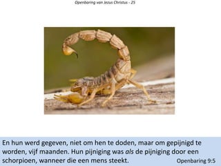 Openbaring van Jezus Christus - 25
En hun werd gegeven, niet om hen te doden, maar om gepijnigd te
worden, vijf maanden. Hun pijniging was als de pijniging door een
schorpioen, wanneer die een mens steekt. Openbaring 9:5
 