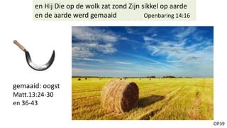 OP39
en Hij Die op de wolk zat zond Zijn sikkel op aarde
en de aarde werd gemaaid Openbaring 14:16
gemaaid: oogst
Matt.13:24-30
en 36-43
 
