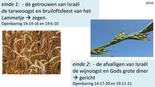 OP39
einde 1: - de getrouwen van Israël
de tarweoogst en bruiloftsfeest van het
Lammetje  zegen
Openbaring 14:14-16 en 19:6-10
einde 2: - de afvalligen van Israël
de wijnoogst en Gods grote diner
 gericht
Openbaring 14:17-20 en 19:11-21
 