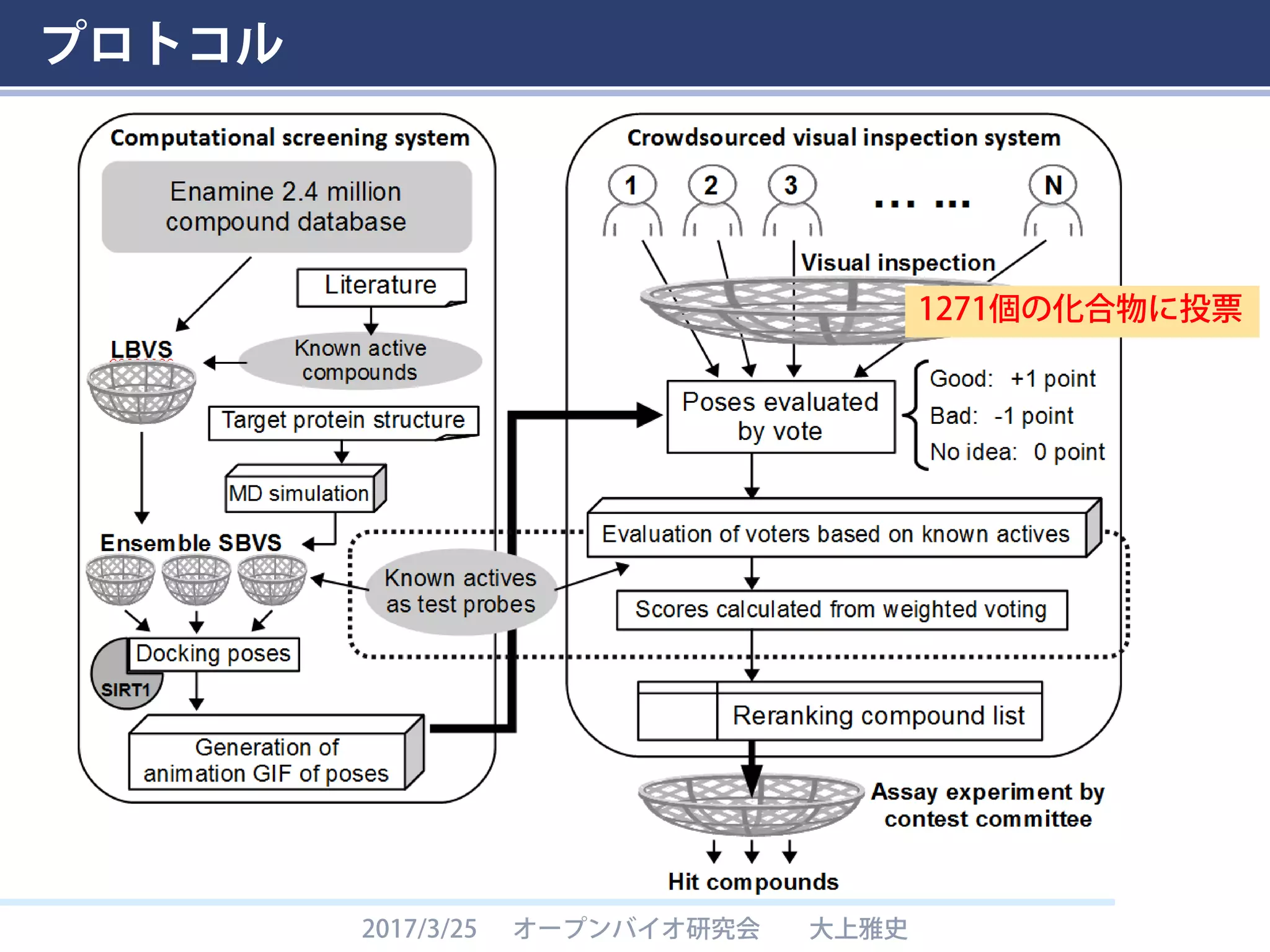 プロトコル
2017/3/25 オープンバイオ研究会 大上雅史
1271個の化合物に投票
 