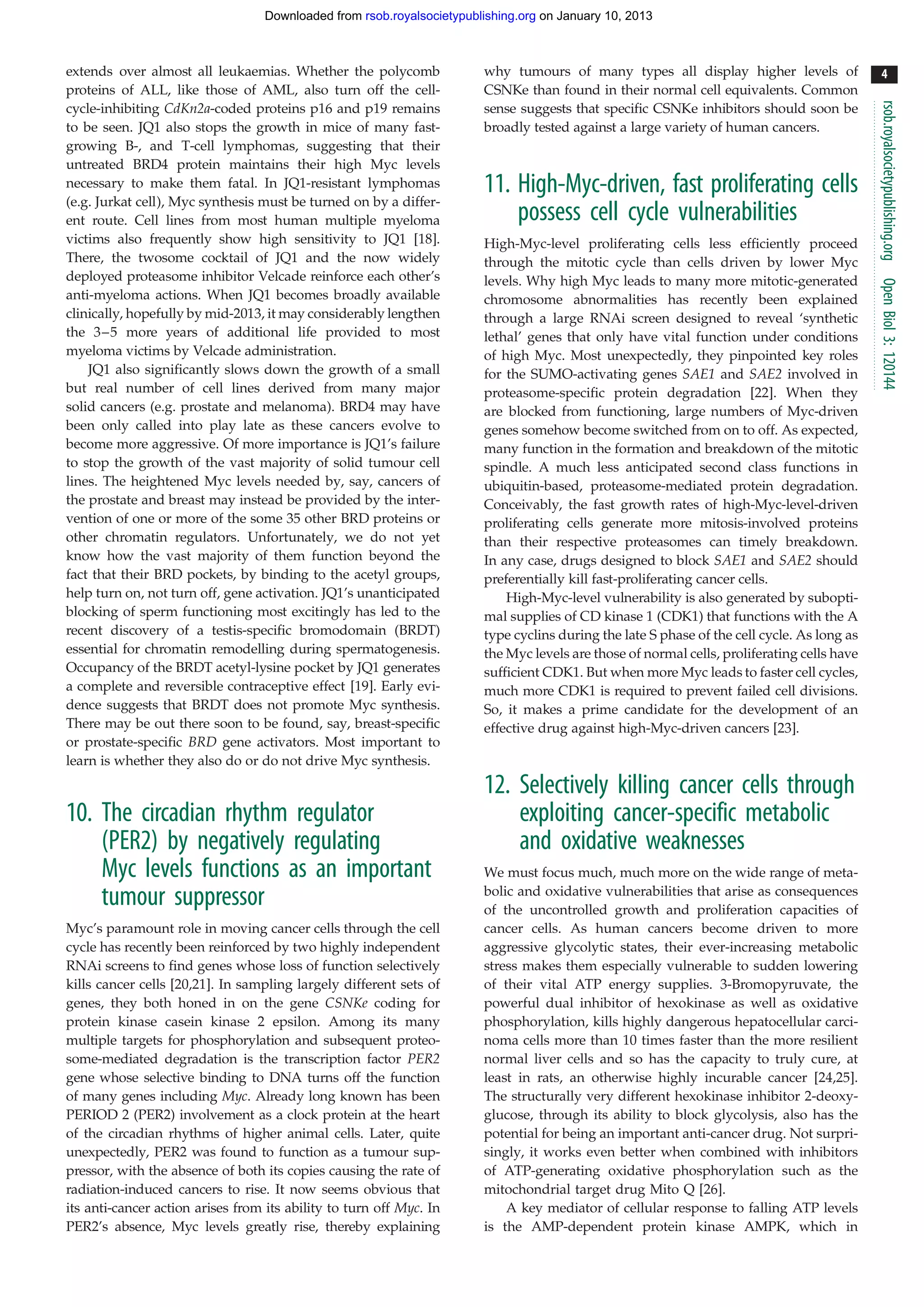 Downloaded from rsob.royalsocietypublishing.org on January 10, 2013



extends over almost all leukaemias. Whether the polycomb                why tumours of many types all display higher levels of                 4
proteins of ALL, like those of AML, also turn off the cell-             CSNKe than found in their normal cell equivalents. Common




                                                                                                                                             rsob.royalsocietypublishing.org
cycle-inhibiting CdKn2a-coded proteins p16 and p19 remains              sense suggests that specific CSNKe inhibitors should soon be
to be seen. JQ1 also stops the growth in mice of many fast-             broadly tested against a large variety of human cancers.
growing B-, and T-cell lymphomas, suggesting that their
untreated BRD4 protein maintains their high Myc levels
necessary to make them fatal. In JQ1-resistant lymphomas                11. High-Myc-driven, fast proliferating cells
(e.g. Jurkat cell), Myc synthesis must be turned on by a differ-
ent route. Cell lines from most human multiple myeloma                      possess cell cycle vulnerabilities
victims also frequently show high sensitivity to JQ1 [18].              High-Myc-level proliferating cells less efficiently proceed
There, the twosome cocktail of JQ1 and the now widely                   through the mitotic cycle than cells driven by lower Myc
deployed proteasome inhibitor Velcade reinforce each other’s            levels. Why high Myc leads to many more mitotic-generated




                                                                                                                                             Open Biol 3: 120144
anti-myeloma actions. When JQ1 becomes broadly available                chromosome abnormalities has recently been explained
clinically, hopefully by mid-2013, it may considerably lengthen         through a large RNAi screen designed to reveal ‘synthetic
the 3–5 more years of additional life provided to most                  lethal’ genes that only have vital function under conditions
myeloma victims by Velcade administration.                              of high Myc. Most unexpectedly, they pinpointed key roles
    JQ1 also significantly slows down the growth of a small             for the SUMO-activating genes SAE1 and SAE2 involved in
but real number of cell lines derived from many major                   proteasome-specific protein degradation [22]. When they
solid cancers (e.g. prostate and melanoma). BRD4 may have               are blocked from functioning, large numbers of Myc-driven
been only called into play late as these cancers evolve to              genes somehow become switched from on to off. As expected,
become more aggressive. Of more importance is JQ1’s failure             many function in the formation and breakdown of the mitotic
to stop the growth of the vast majority of solid tumour cell            spindle. A much less anticipated second class functions in
lines. The heightened Myc levels needed by, say, cancers of             ubiquitin-based, proteasome-mediated protein degradation.
the prostate and breast may instead be provided by the inter-           Conceivably, the fast growth rates of high-Myc-level-driven
vention of one or more of the some 35 other BRD proteins or             proliferating cells generate more mitosis-involved proteins
other chromatin regulators. Unfortunately, we do not yet                than their respective proteasomes can timely breakdown.
know how the vast majority of them function beyond the                  In any case, drugs designed to block SAE1 and SAE2 should
fact that their BRD pockets, by binding to the acetyl groups,           preferentially kill fast-proliferating cancer cells.
help turn on, not turn off, gene activation. JQ1’s unanticipated            High-Myc-level vulnerability is also generated by subopti-
blocking of sperm functioning most excitingly has led to the            mal supplies of CD kinase 1 (CDK1) that functions with the A
recent discovery of a testis-specific bromodomain (BRDT)                type cyclins during the late S phase of the cell cycle. As long as
essential for chromatin remodelling during spermatogenesis.             the Myc levels are those of normal cells, proliferating cells have
Occupancy of the BRDT acetyl-lysine pocket by JQ1 generates             sufficient CDK1. But when more Myc leads to faster cell cycles,
a complete and reversible contraceptive effect [19]. Early evi-         much more CDK1 is required to prevent failed cell divisions.
dence suggests that BRDT does not promote Myc synthesis.                So, it makes a prime candidate for the development of an
There may be out there soon to be found, say, breast-specific           effective drug against high-Myc-driven cancers [23].
or prostate-specific BRD gene activators. Most important to
learn is whether they also do or do not drive Myc synthesis.

                                                                        12. Selectively killing cancer cells through
10. The circadian rhythm regulator                                          exploiting cancer-specific metabolic
    (PER2) by negatively regulating                                         and oxidative weaknesses
    Myc levels functions as an important                                We must focus much, much more on the wide range of meta-
                                                                        bolic and oxidative vulnerabilities that arise as consequences
    tumour suppressor                                                   of the uncontrolled growth and proliferation capacities of
Myc’s paramount role in moving cancer cells through the cell            cancer cells. As human cancers become driven to more
cycle has recently been reinforced by two highly independent            aggressive glycolytic states, their ever-increasing metabolic
RNAi screens to find genes whose loss of function selectively           stress makes them especially vulnerable to sudden lowering
kills cancer cells [20,21]. In sampling largely different sets of       of their vital ATP energy supplies. 3-Bromopyruvate, the
genes, they both honed in on the gene CSNKe coding for                  powerful dual inhibitor of hexokinase as well as oxidative
protein kinase casein kinase 2 epsilon. Among its many                  phosphorylation, kills highly dangerous hepatocellular carci-
multiple targets for phosphorylation and subsequent proteo-             noma cells more than 10 times faster than the more resilient
some-mediated degradation is the transcription factor PER2              normal liver cells and so has the capacity to truly cure, at
gene whose selective binding to DNA turns off the function              least in rats, an otherwise highly incurable cancer [24,25].
of many genes including Myc. Already long known has been                The structurally very different hexokinase inhibitor 2-deoxy-
PERIOD 2 (PER2) involvement as a clock protein at the heart             glucose, through its ability to block glycolysis, also has the
of the circadian rhythms of higher animal cells. Later, quite           potential for being an important anti-cancer drug. Not surpri-
unexpectedly, PER2 was found to function as a tumour sup-               singly, it works even better when combined with inhibitors
pressor, with the absence of both its copies causing the rate of        of ATP-generating oxidative phosphorylation such as the
radiation-induced cancers to rise. It now seems obvious that            mitochondrial target drug Mito Q [26].
its anti-cancer action arises from its ability to turn off Myc. In          A key mediator of cellular response to falling ATP levels
PER2’s absence, Myc levels greatly rise, thereby explaining             is the AMP-dependent protein kinase AMPK, which in
 