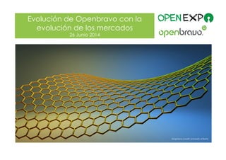 © 2014 Openbravo Inc. All Rights Reserved. Page 1
Evolución de Openbravo con la
evolución de los mercados
26 Junio 2014
Graphene (credit: University of Bath)
 