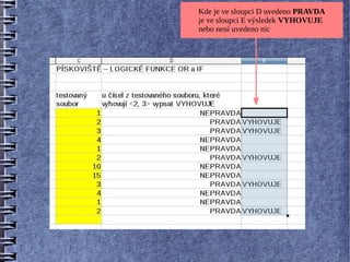 Kde je ve sloupci D uvedeno PRAVDA
je ve sloupci E výsledek VYHOVUJE
nebo není uvedeno nic
 