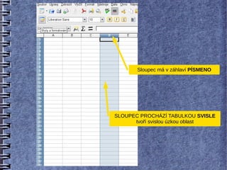 Sloupec má v záhlaví PÍSMENO




SLOUPEC PROCHÁZÍ TABULKOU SVISLE
      tvoří svislou úzkou oblast
 