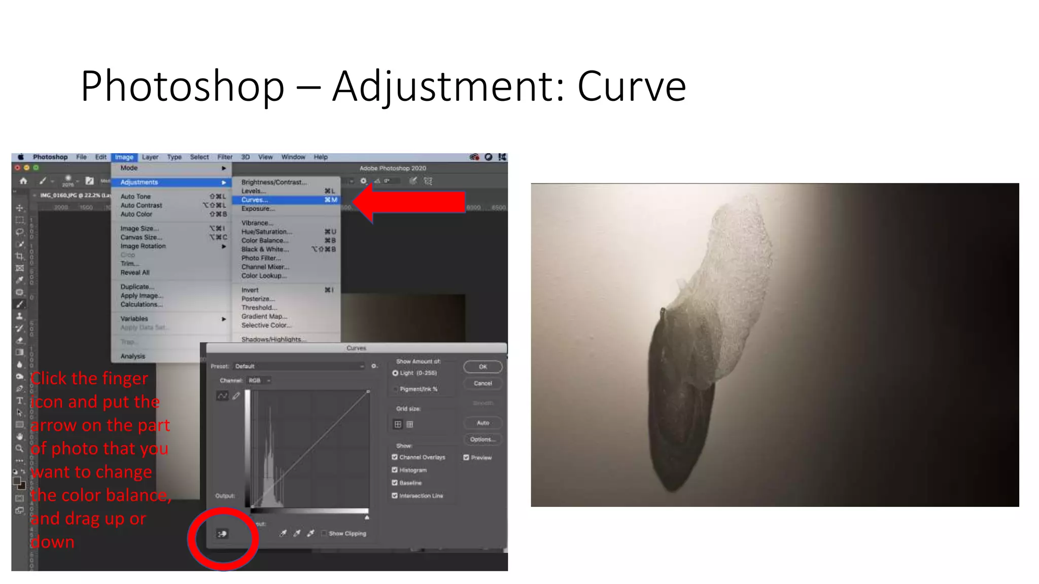 Photoshop – Adjustment: Curve
Click the finger
icon and put the
arrow on the part
of photo that you
want to change
the color balance,
and drag up or
down
 