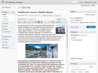 Working with Images in WordPress 