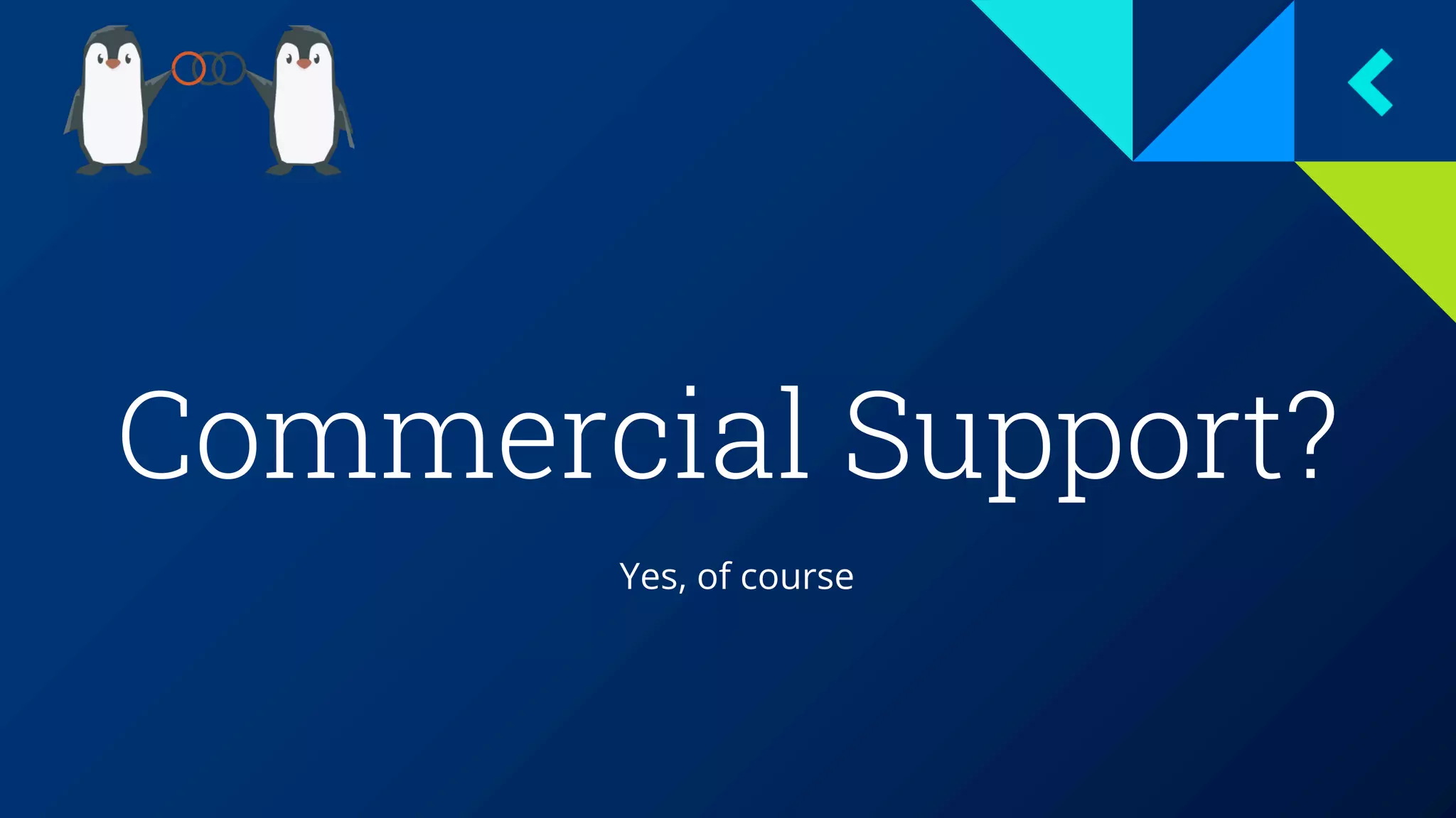 Commercial Support?
Yes, of course
 